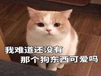 广西武宣精美建材有限公司