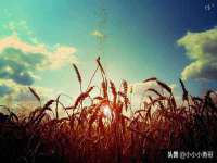广西武宣精美建材有限公司