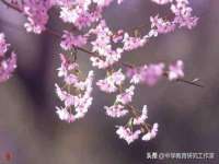 广西武宣精美建材有限公司