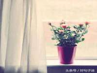 广西武宣精美建材有限公司