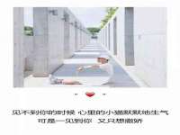 广西武宣精美建材有限公司
