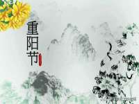 广西武宣精美建材有限公司