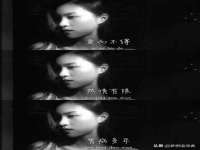 广西武宣精美建材有限公司