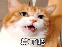 广西武宣精美建材有限公司