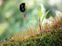 广西武宣精美建材有限公司