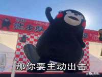 广西武宣精美建材有限公司