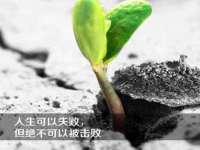 广西武宣精美建材有限公司