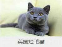 广西武宣精美建材有限公司