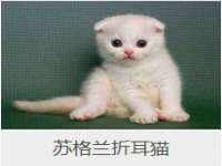 广西武宣精美建材有限公司