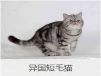 广西武宣精美建材有限公司