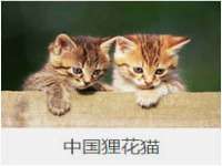 广西武宣精美建材有限公司