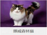 广西武宣精美建材有限公司