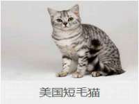 广西武宣精美建材有限公司