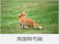 广西武宣精美建材有限公司