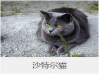 广西武宣精美建材有限公司