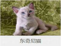 广西武宣精美建材有限公司
