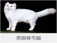 广西武宣精美建材有限公司