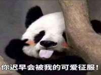 广西武宣精美建材有限公司