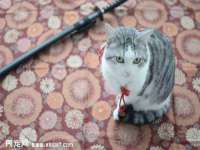 广西武宣精美建材有限公司