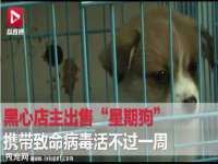 广西武宣精美建材有限公司