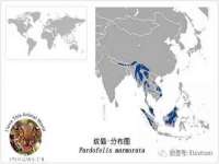 广西武宣精美建材有限公司