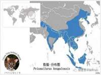 广西武宣精美建材有限公司