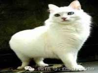 广西武宣精美建材有限公司