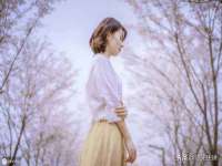 广西武宣精美建材有限公司