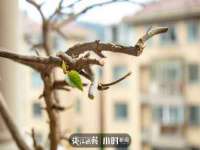 广西武宣精美建材有限公司