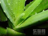 广西武宣精美建材有限公司