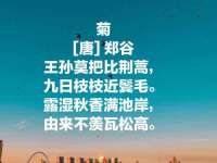 广西武宣精美建材有限公司