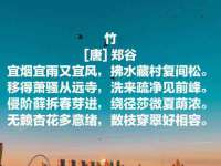 广西武宣精美建材有限公司