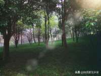 广西武宣精美建材有限公司