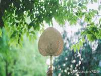 广西武宣精美建材有限公司