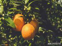 广西武宣精美建材有限公司
