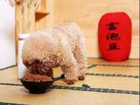 广西武宣精美建材有限公司