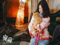 广西武宣精美建材有限公司
