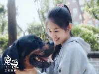 广西武宣精美建材有限公司