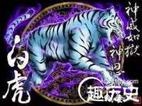 广西武宣精美建材有限公司