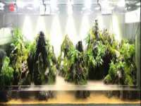 广西武宣精美建材有限公司