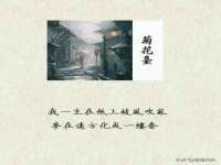 广西武宣精美建材有限公司