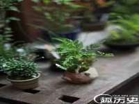 广西武宣精美建材有限公司