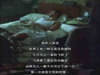广西武宣精美建材有限公司