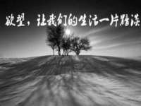 广西武宣精美建材有限公司