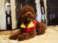 广西武宣精美建材有限公司