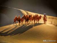 广西武宣精美建材有限公司