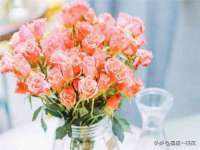 广西武宣精美建材有限公司