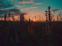 广西武宣精美建材有限公司
