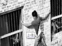 广西武宣精美建材有限公司