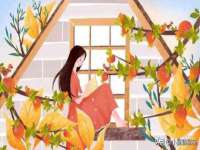 广西武宣精美建材有限公司